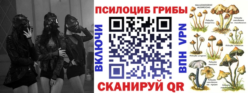 Галлюциногенные грибы Magic Shrooms  Купить где  Мелеуз 